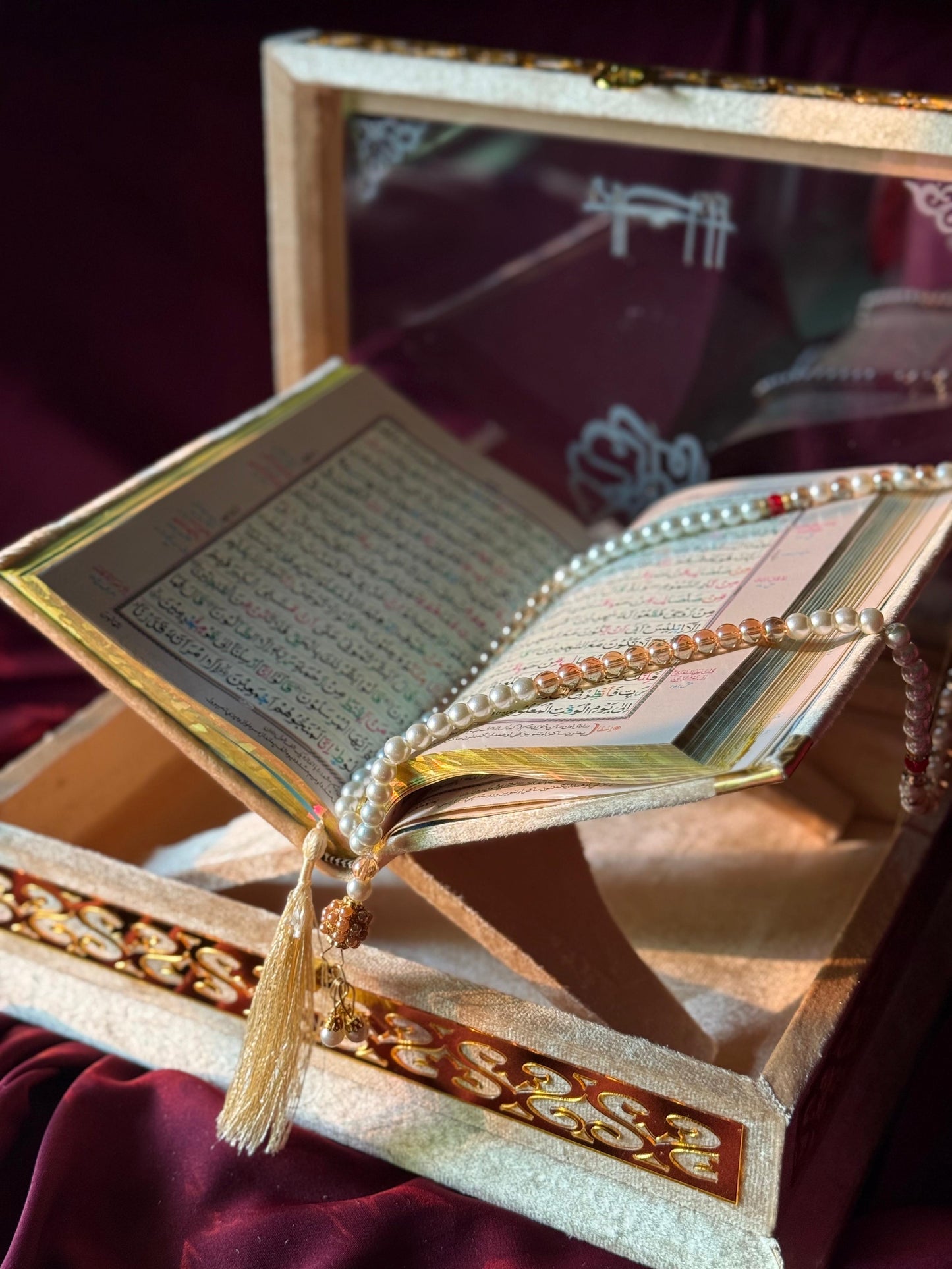 Ziwaj Golden Transparent Set