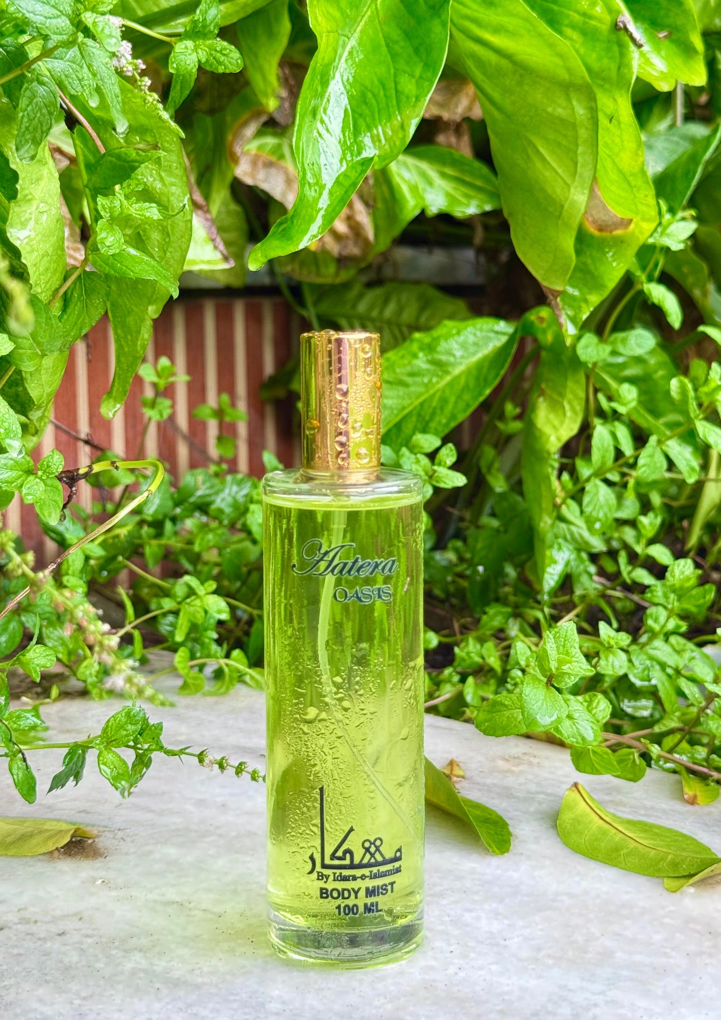 Aatera OASIS Body Mist For Ladies