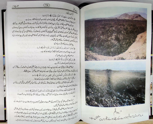 سیرت النبی 4 جلد بکس