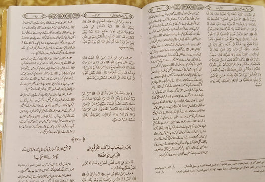 Riaz Ul Salheen AAM Arbi Urdu - ریاض الصالحین عربی اردو -