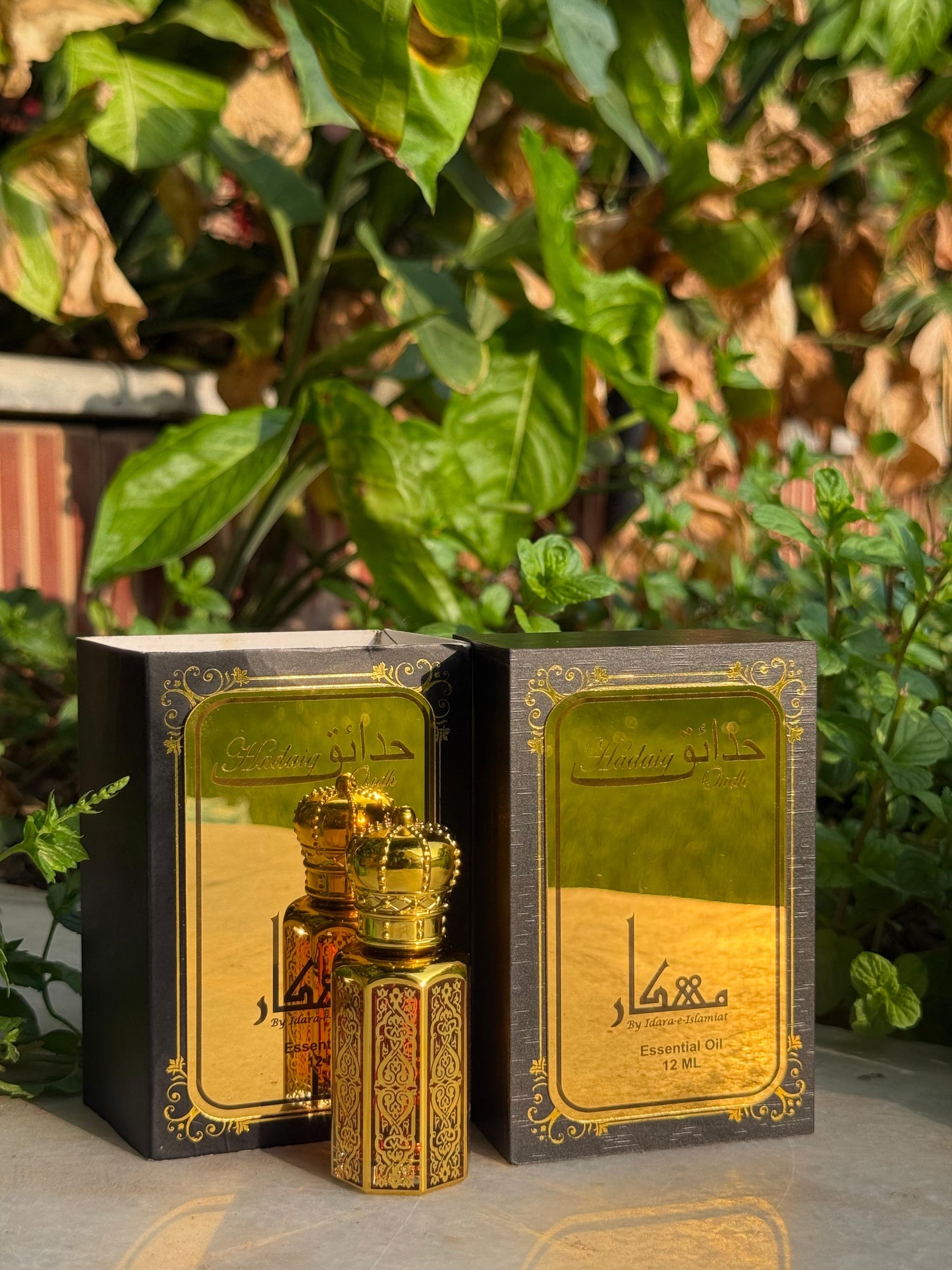 Oud -Ul- Hadaiq