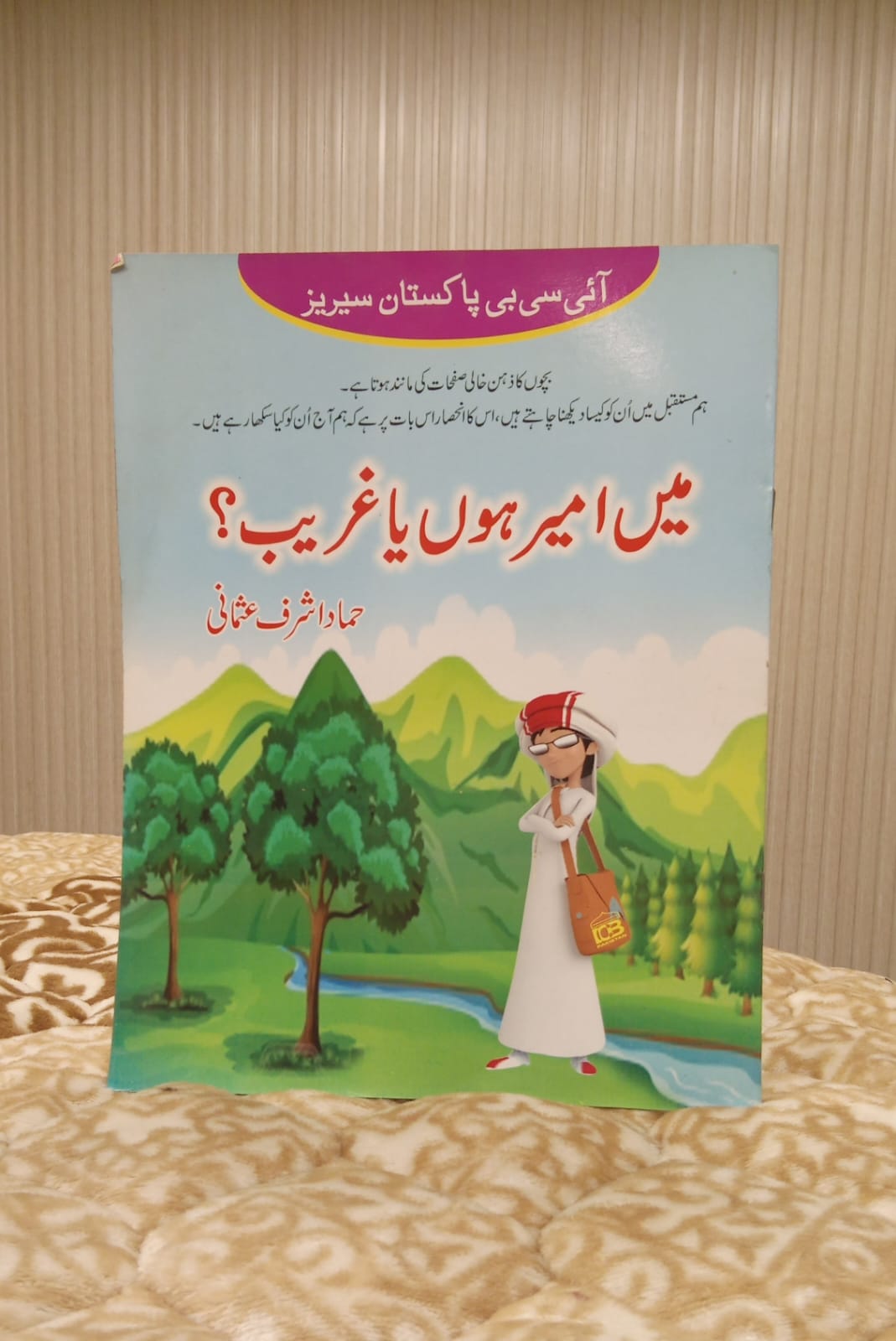 Molana  Hammad Ashraf Usmani