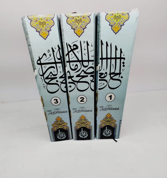 Bukhari Shareef urdu Tarjuma and Tashreeh/  بخاری شریف اردو ترجمہ و تشریح