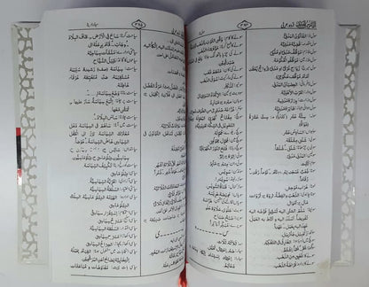القاموس الجدید اردو عربی(مولانا وحید الزمان کیرانوی)
