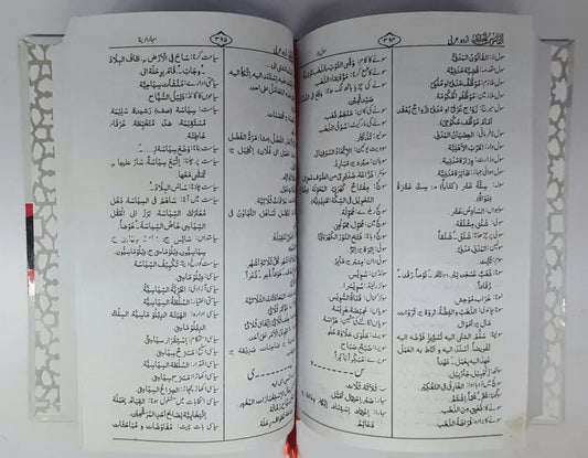 القاموس الجدید اردو عربی(مولانا وحید الزمان کیرانوی)