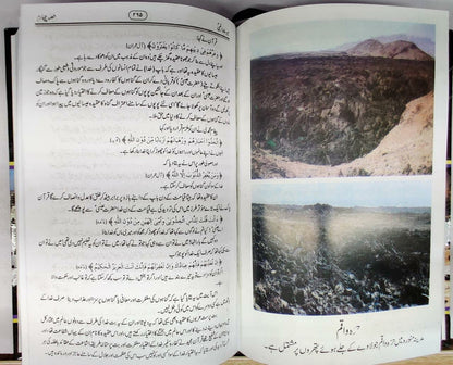 سیرت النبی 4 جلد بکس