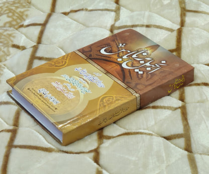 Anjil Barna Bas - Maulana Muhammad Halim Ansari انجيل برنا باس - مولانا محمد حلیم (Taqabul-e-Adyan) Comparative Study of Religions