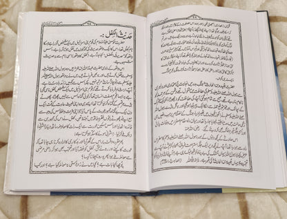 Ashab Rasool Ki  Yaadein - Molana Abdul Rehman Muzahri  اصحاب رسول کي ياديں - مولانا عبدالرحمٰن مظاہری | Urdu Islamic Book Stories of Sahab-e-Karam Idara-e-Islamiat 