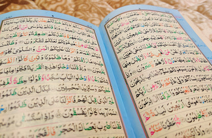 Tajweedi Alif Lam Meem Parah No.1 - 16 Lines 4 Colours تجويدى الم سپاره سوله سطرى رنگين