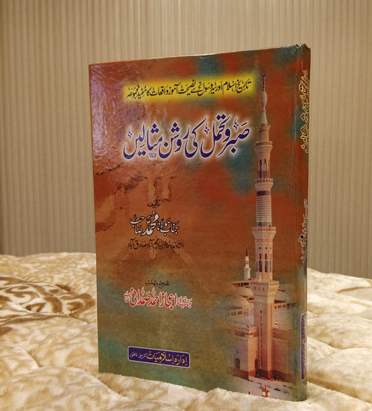 Sabr-o-Tehamul Ki Roshan Masalien - Dr. Ijaz Ahmed Samdani صبروتحمل کی روشن مثاليں - ڈاکٹر اعجاز احمد صمدانی | Social wellbeing Urdu Islamic Book 