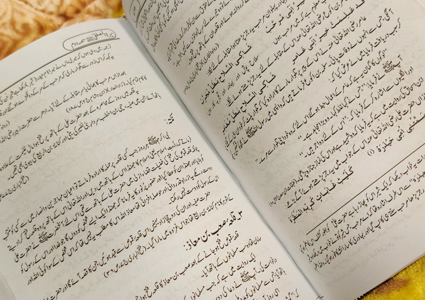 Seerat-e-Mustafa - سيرت مصطفى - مولانا ادريس كاندھلوى - Moalana Idress Kandhalwi - Seerat of The Holy Prophet Muhammad Urdu Islamic Book Idara-e-islamiat 