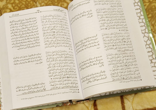Sunan Dar Al-Qutni - سنن دار قطنی -  امام ابو الحسن علی بن عمر الدار قطنی - Imam Abu Ali Al-Hassan | Hadees Urdu Islamic Book