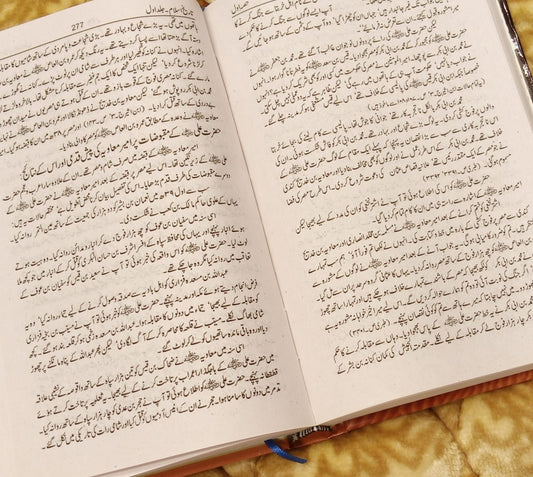 TAREEKH E ISLAM - تاریخ اسلام -  | SHAH MOEEN DEEN AHMAD  NADVI