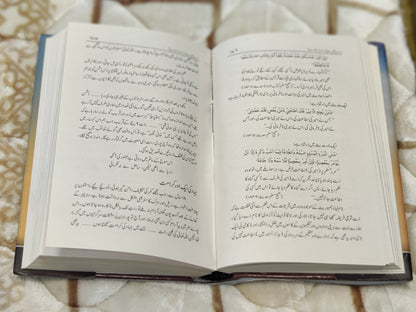 This unique book explains a jihadi Travelodge and the stories of mujahideens putting up a resistance for their mother land. Buy now this online available Book at economical price. 