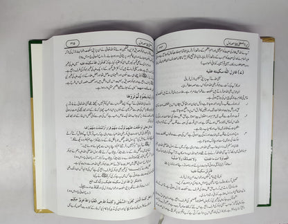 سیرت المصطفیٰ (صلی اللہ علیہ وسلم)