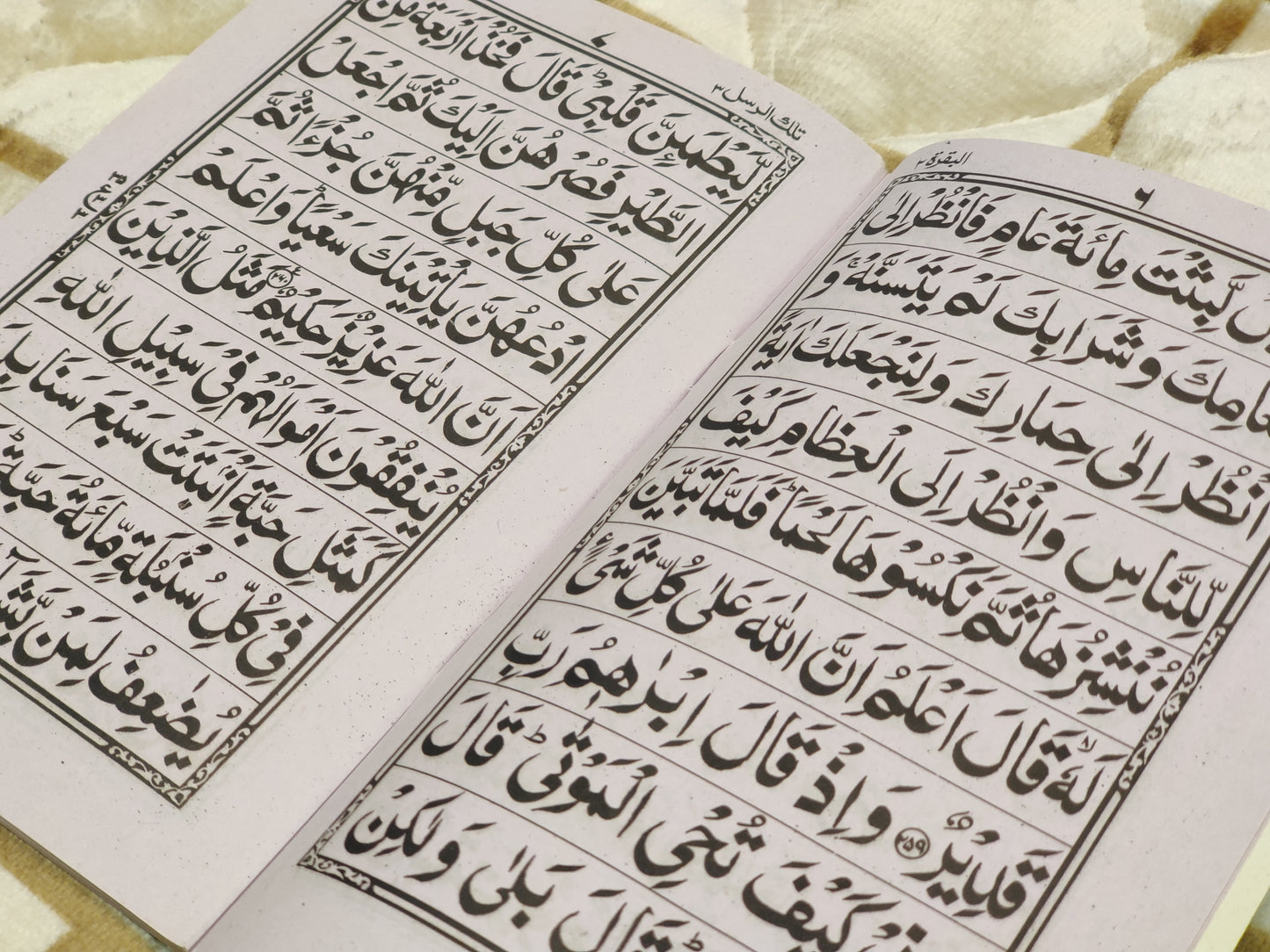 Para wise Quran -پسارے